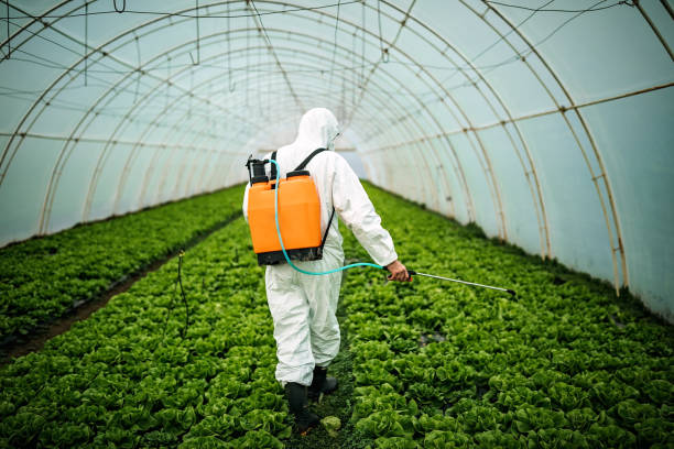 Best Mosquito Control Services  in Linn, MO
