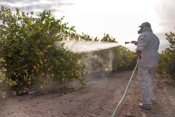 Reliable Linn, MO Pest Control Solutions