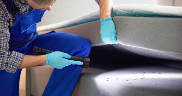 Best Affordable Pest Control Services  in Linn, MO