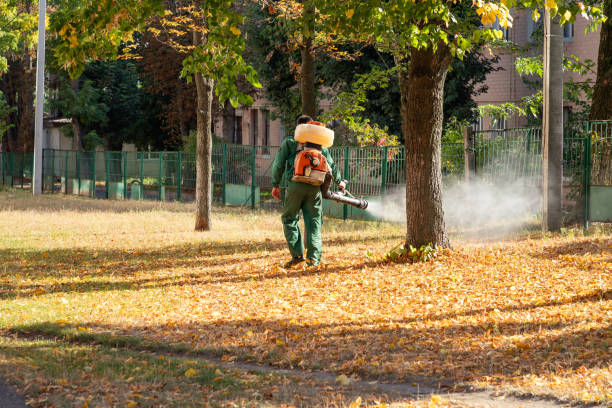 Best Local Pest Control Services  in Linn, MO