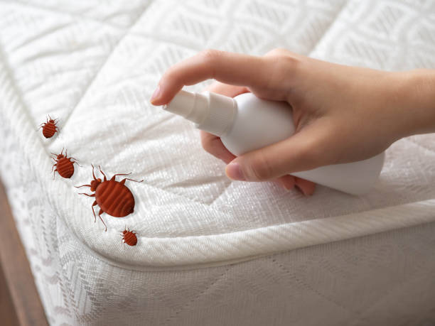 Best Best Pest Control Companies  in Linn, MO