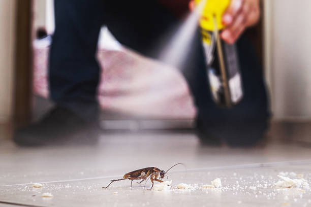 Best Affordable Pest Control Services  in Linn, MO