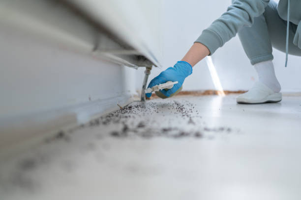 Best Insect Control  in Linn, MO