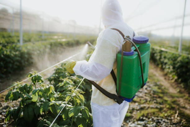 Best Pest Control Near Me  in Linn, MO